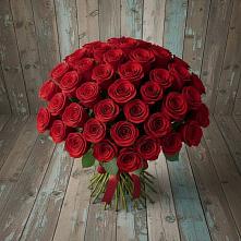 Букет 55 Красных роз Фридом #REPLACE_PRED# Рудне Смоленской области