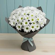 Букет цветов из:  Хризантемы #REPLACE_PRED# Рудне Смоленской области