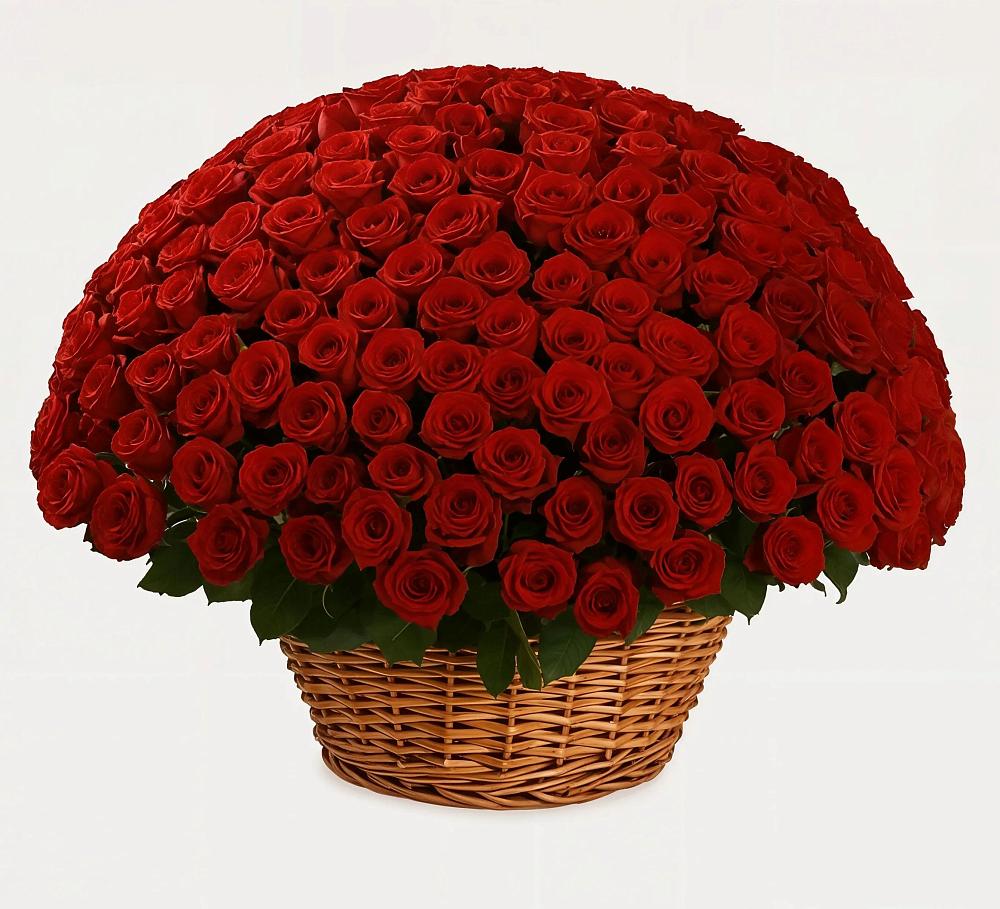 Премиум букет из: Розы в Рудне Смоленской области