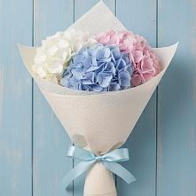 Букет цветов из:  Гортензия в Рудне Смоленской области
