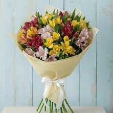Букет цветов из:  Альстромерии в Рудне Смоленской области