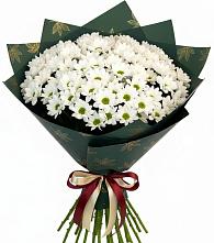 Букет цветов из:  Хризантемы в Рудне Смоленской области