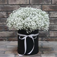 Цветочная композиция из Гипсофила в шляпной коробке в Рудне Смоленской области