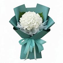 Букет цветов из:  Гортензия в Рудне Смоленской области